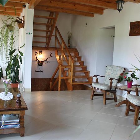 Casa Altius Felix Appartement Băile Felix Buitenkant foto