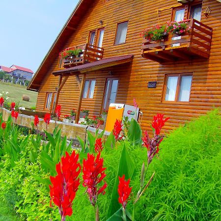 Casa Altius Felix Appartement Băile Felix Buitenkant foto
