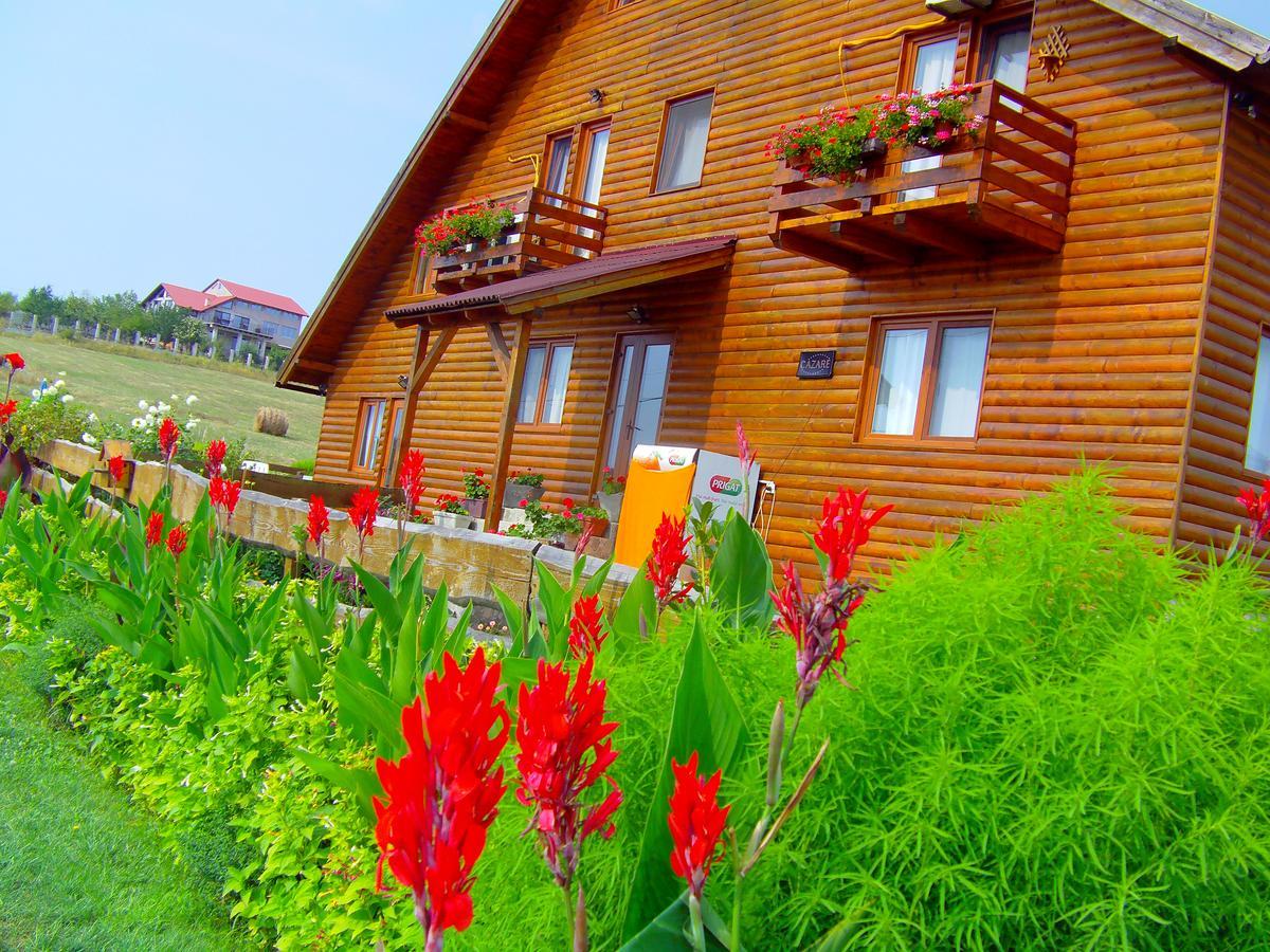 Casa Altius Felix Appartement Băile Felix Buitenkant foto