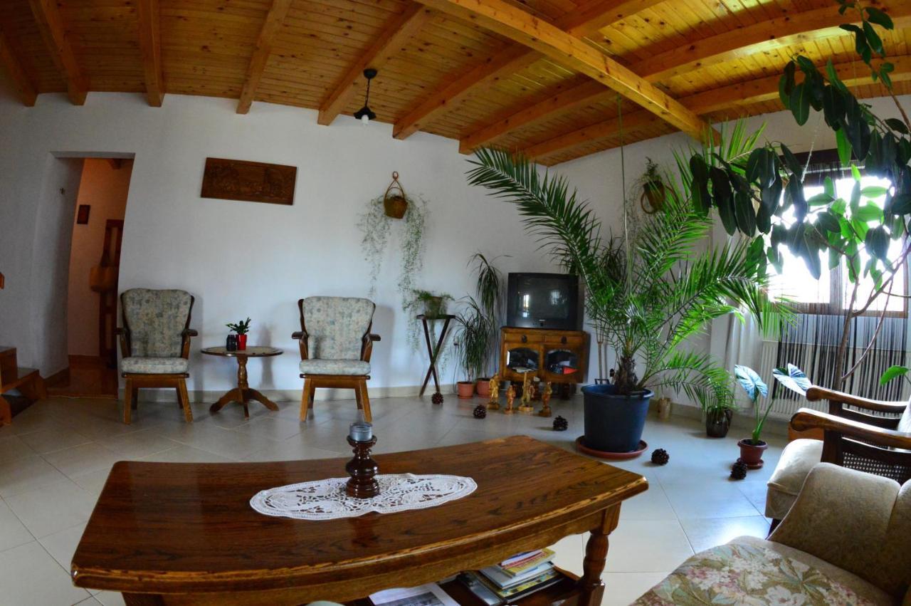 Casa Altius Felix Appartement Băile Felix Buitenkant foto